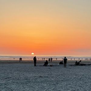 Meet your Posher, Duncan